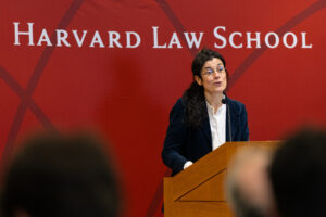 Isabelle Ferreras addressing audience