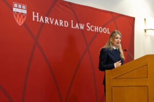 Minister Diaz Perez talking