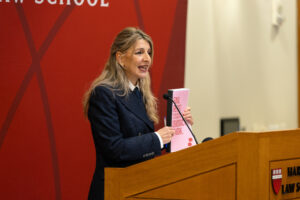 Minister Diaz Perez talking