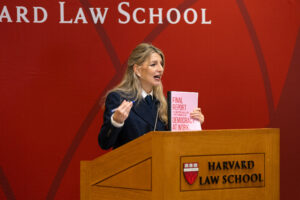 Minister Diaz Perez talking